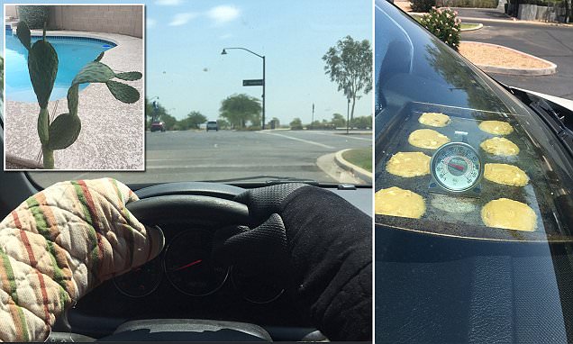 Phoenix is melting! Pictures reveal how Arizona is so hot that even cacti are wilting in the 120F heat